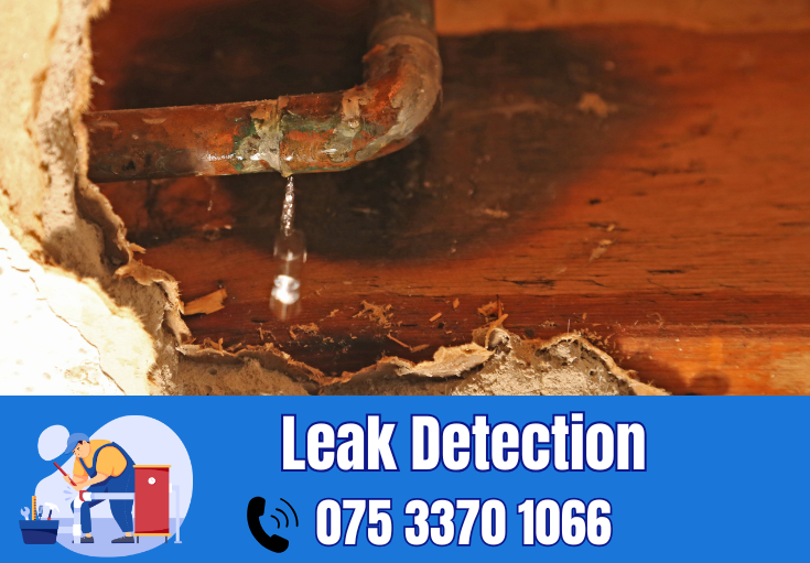 leak detection Chatham