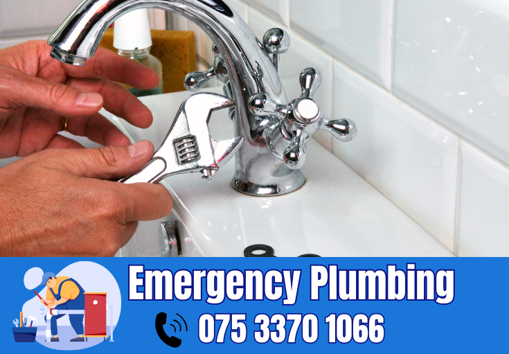  plumber Walderslade
