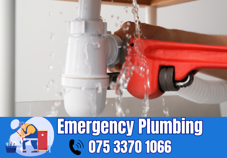  plumber Luton