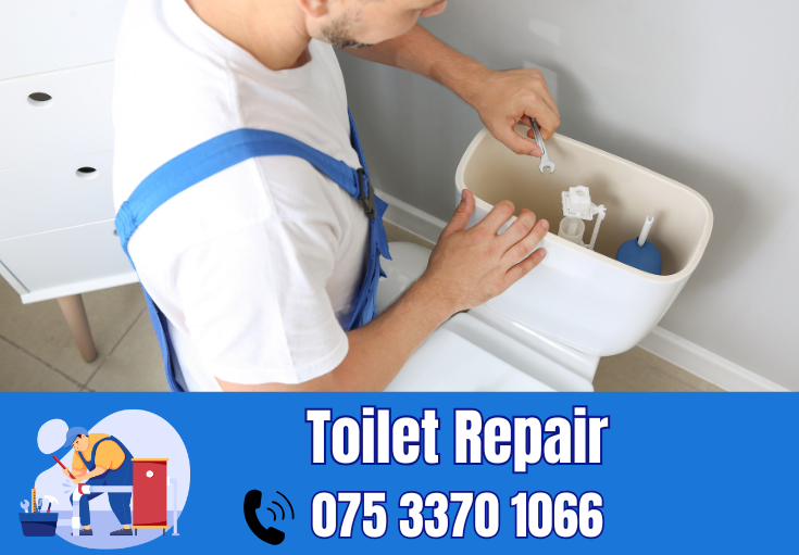 toilet repair Chatham